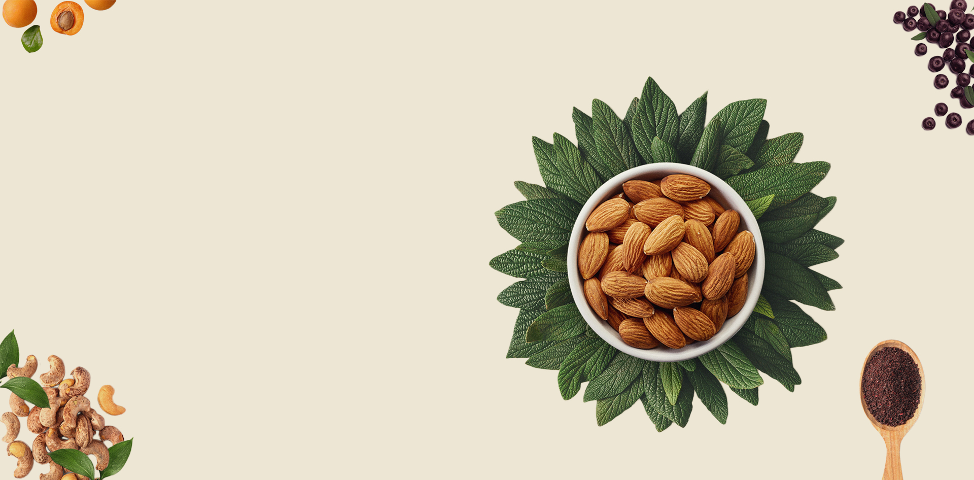 Descubre todos nuestros productos